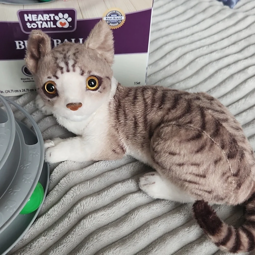 Busy ball cat toy plus cat plush